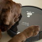 AMIBOT Animal XL H2O Connect Saugroboter