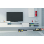 HOOVER HF522NPW Stielsauger, Batteriebetrieb, 290 Watt