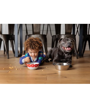 IROBOT Roomba i3+ (i3558) Saugroboter