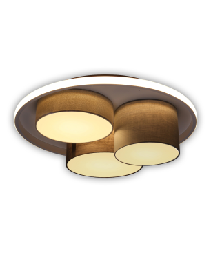 NÄVE LEUCHTEN EPPAN LED Deckenleuchte