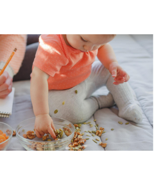 GASTROBACK 46603 Design Max Dörrautomat (900 Watt)