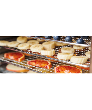 GASTROBACK 46603 Design Max Dörrautomat (900 Watt)