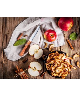 GASTROBACK 46603 Design Max Dörrautomat (900 Watt)