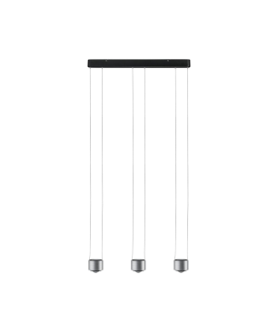PAULMANN LICHT Aldan (79720) Pendelleuchte Warmweiß