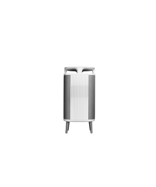 BLUEAIR Dustmagnet 5440i Kombifilter Luftreiniger Grau (42 Watt, Raumgröße: 35 m², HEPASilent)