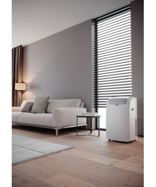 BAUKNECHT PACW29CO BK Klimagerät Weiß/Grau (Max. Raumgröße: 25 m², EEK: A)