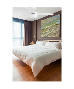 FARO Panay Deckenventilator Ahorn (58 Watt)