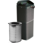 ELECTROLUX PA91-604DG Luftreiniger Schwarz (41 Watt)