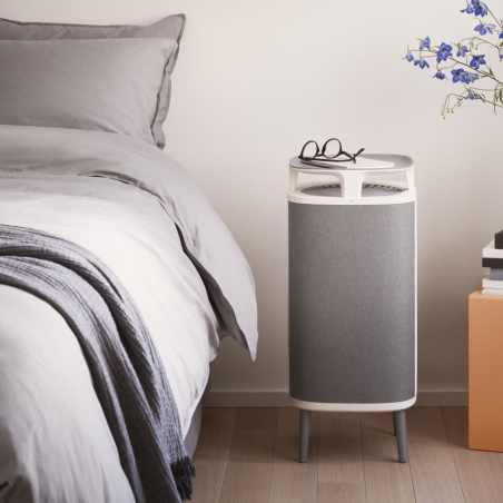 BLUEAIR 437470 Luftreiniger Grau (26 Watt, Raumgröße: 22 m²)