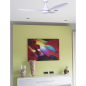 FARO Polaris Deckenventilator Weiß (35 Watt)