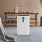 BOLD SANDER Luftfilter Weiß (66 Watt, Raumgröße: 61 m²)