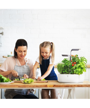 VERITABLE CONNECT Indoor inkl. 4 Packs Saatgut Kräutergarten-Set, weiss-grau