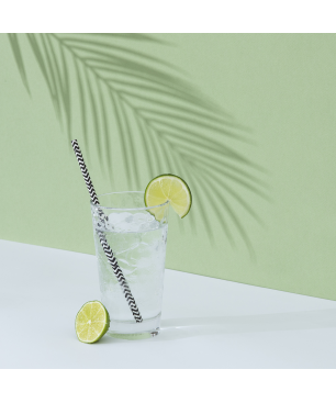 H.KOENIG H.Koenig Eiswürfelmaschine KB / 2 Eiswürfelgrößen / Wasserstandsanzeige / Edelstahl Eiswürfelmaschine (100 Watt, Schw