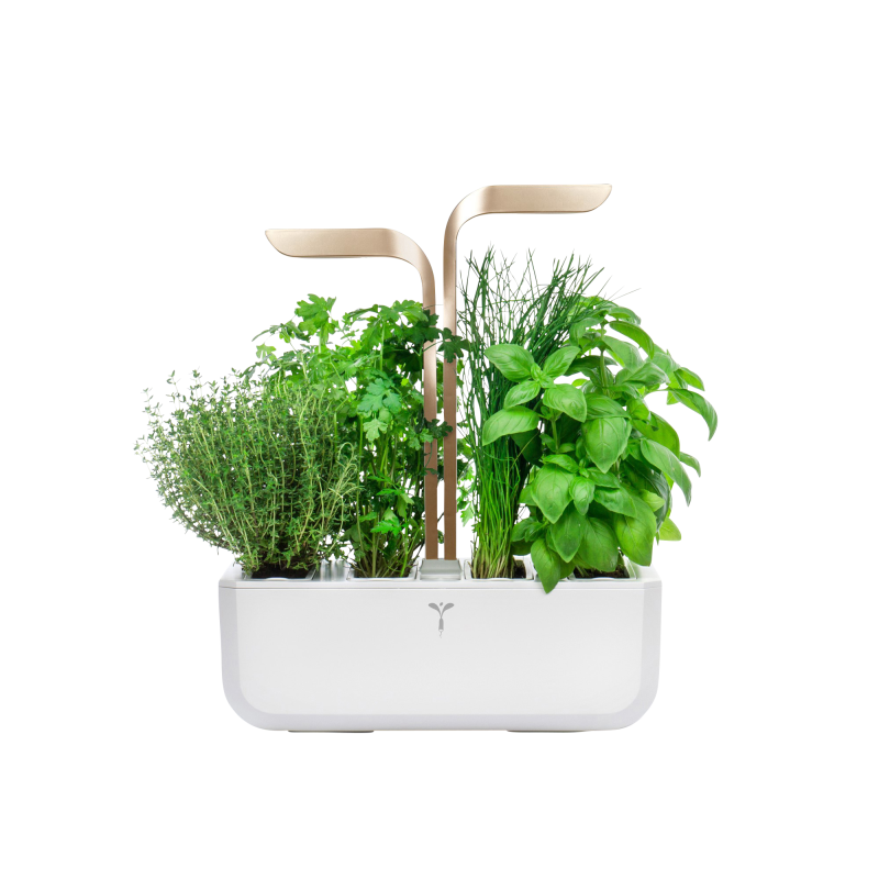 VERITABLE CONNECT Indoor inkl. 4 Packs Saatgut Kräutergarten-Set, ABS- und PP Kunststoff