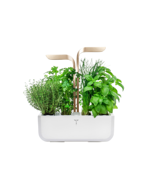 VERITABLE CONNECT Indoor inkl. 4 Packs Saatgut Kräutergarten-Set, ABS- und PP Kunststoff