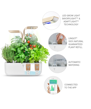 VERITABLE CONNECT Indoor inkl. 4 Packs Saatgut Kräutergarten-Set, ABS- und PP Kunststoff