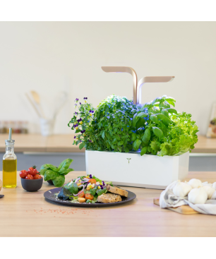 VERITABLE CONNECT Indoor inkl. 4 Packs Saatgut Kräutergarten-Set, ABS- und PP Kunststoff