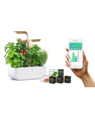 VERITABLE CONNECT Indoor inkl. 4 Packs Saatgut Kräutergarten-Set, ABS- und PP Kunststoff