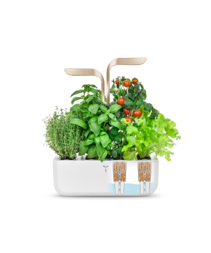 VERITABLE CONNECT Indoor inkl. 4 Packs Saatgut Kräutergarten-Set, ABS- und PP Kunststoff