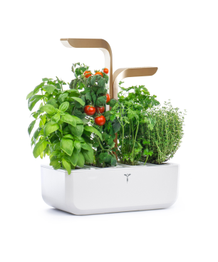 VERITABLE CONNECT Indoor inkl. 4 Packs Saatgut Kräutergarten-Set, ABS- und PP Kunststoff