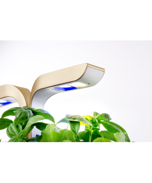 VERITABLE CONNECT Indoor inkl. 4 Packs Saatgut Kräutergarten-Set, ABS- und PP Kunststoff