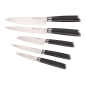 ECHTWERK EW-DM-0390 5-tlg. Messer-Set