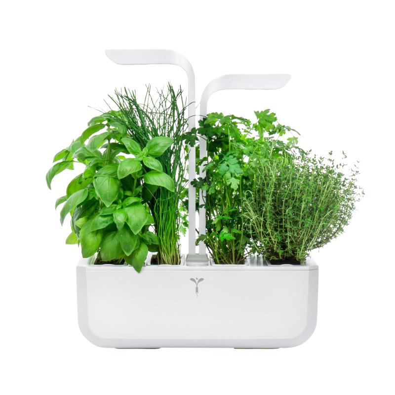 VERITABLE CLASSIC Indoor inkl. 4 Packs Saatgut Kräutergarten-Set