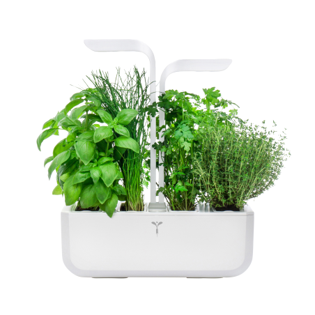 VERITABLE CLASSIC Indoor inkl. 4 Packs Saatgut Kräutergarten-Set