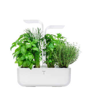 VERITABLE CLASSIC Indoor inkl. 4 Packs Saatgut Kräutergarten-Set