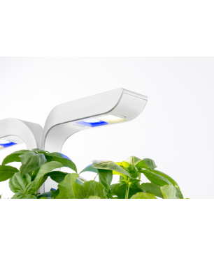 VERITABLE CLASSIC Indoor inkl. 4 Packs Saatgut Kräutergarten-Set