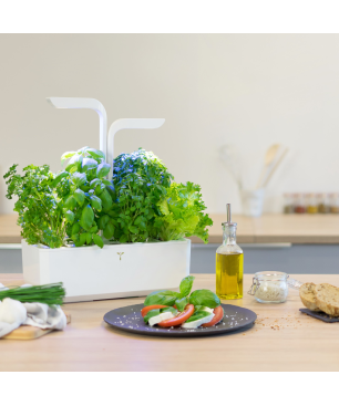 VERITABLE CLASSIC Indoor inkl. 4 Packs Saatgut Kräutergarten-Set