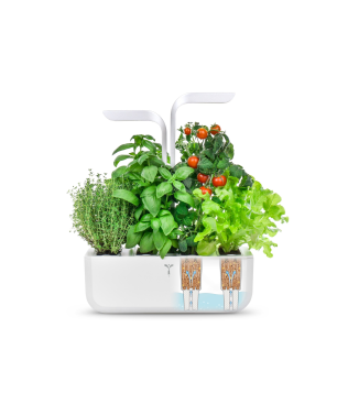 VERITABLE CLASSIC Indoor inkl. 4 Packs Saatgut Kräutergarten-Set