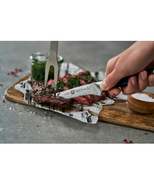 ZWILLING 02866 Messerset