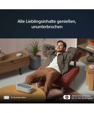 SONY Sony HT-AX7, tragbares Heimkino-System, Grau