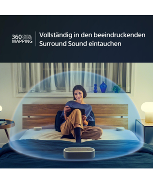 SONY Sony HT-AX7, tragbares Heimkino-System, Grau