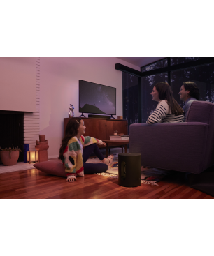 SONOS Sub Mini, Subwoofer, Schwarz