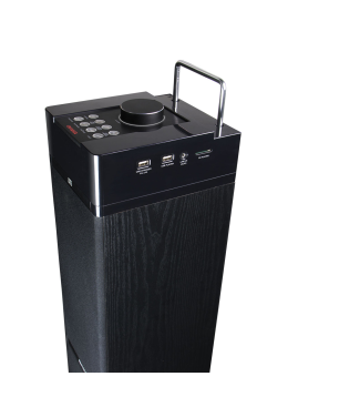 AIWA TS-990CD, 120 Watt, Soundtower mit CD Player,USB, SD und FM-Radio. Dockingstation,, Schwarz