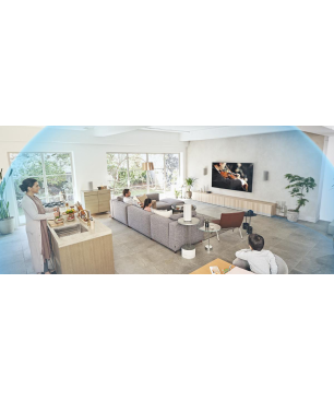 SONY HT-A9, Surround Soundsystem, Hellgrau