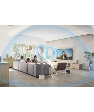 SONY HT-A9, Surround Soundsystem, Hellgrau