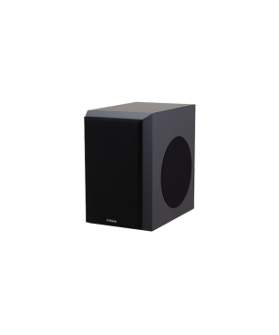 BLOCK S-100 HiFi Lautsprecher, schwarz