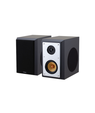 BLOCK S-100 HiFi Lautsprecher, schwarz