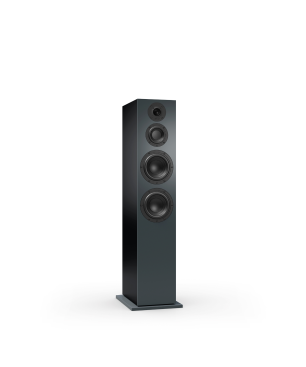NUBERT nuBoxx B-70 Standlautsprecher Standlautsprecher, Graphit
