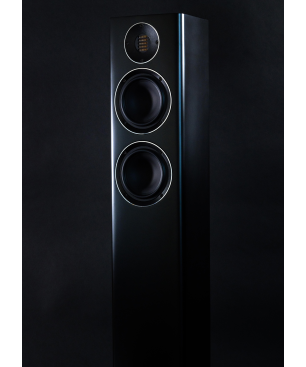 ELAC Carina FS 247 HiFi Lautsprecher (Hochtöner: Nach JET-Prinzip gefalteter Air-Motion-Transformer, Tieftöner: 2 x 150 mm, Al