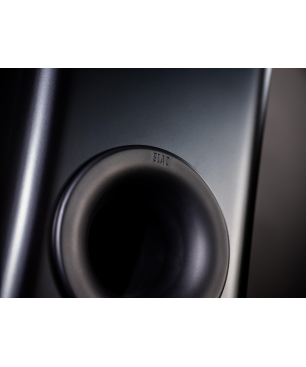 ELAC Carina FS 247 HiFi Lautsprecher (Hochtöner: Nach JET-Prinzip gefalteter Air-Motion-Transformer, Tieftöner: 2 x 150 mm, Al