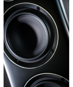 ELAC Carina FS 247 HiFi Lautsprecher (Hochtöner: Nach JET-Prinzip gefalteter Air-Motion-Transformer, Tieftöner: 2 x 150 mm, Al