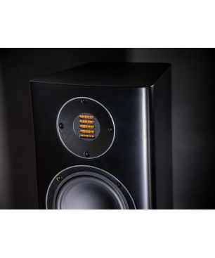 ELAC Carina FS 247 HiFi Lautsprecher (Hochtöner: Nach JET-Prinzip gefalteter Air-Motion-Transformer, Tieftöner: 2 x 150 mm, Al