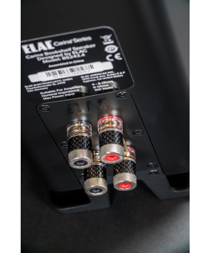 ELAC Carina BS 243.4 1 Paar HiFi Lautsprecher (Aluminium Konus, Schwarz