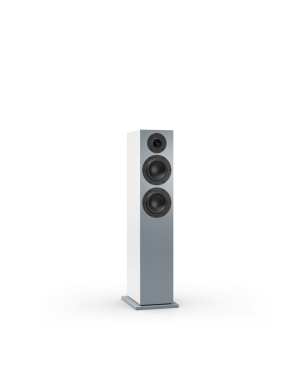 NUBERT nuBoxx B-60 Standlautsprecher Standlautsprecher, Eisgrau