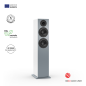 NUBERT nuBoxx B-60 Standlautsprecher Standlautsprecher, Eisgrau
