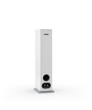 NUBERT nuBoxx B-60 Standlautsprecher Standlautsprecher, Eisgrau